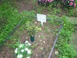 image of grave number 599800